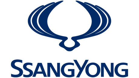 Стелки за SSangYong