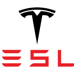 Стелки за Tesla